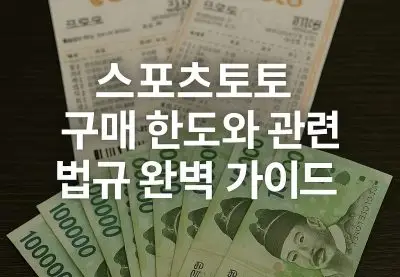 스포츠토토 구매 한도와 관련 법규 완벽 가이드