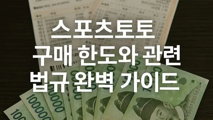 스포츠토토 구매 한도와 관련 법규 완벽 가이드